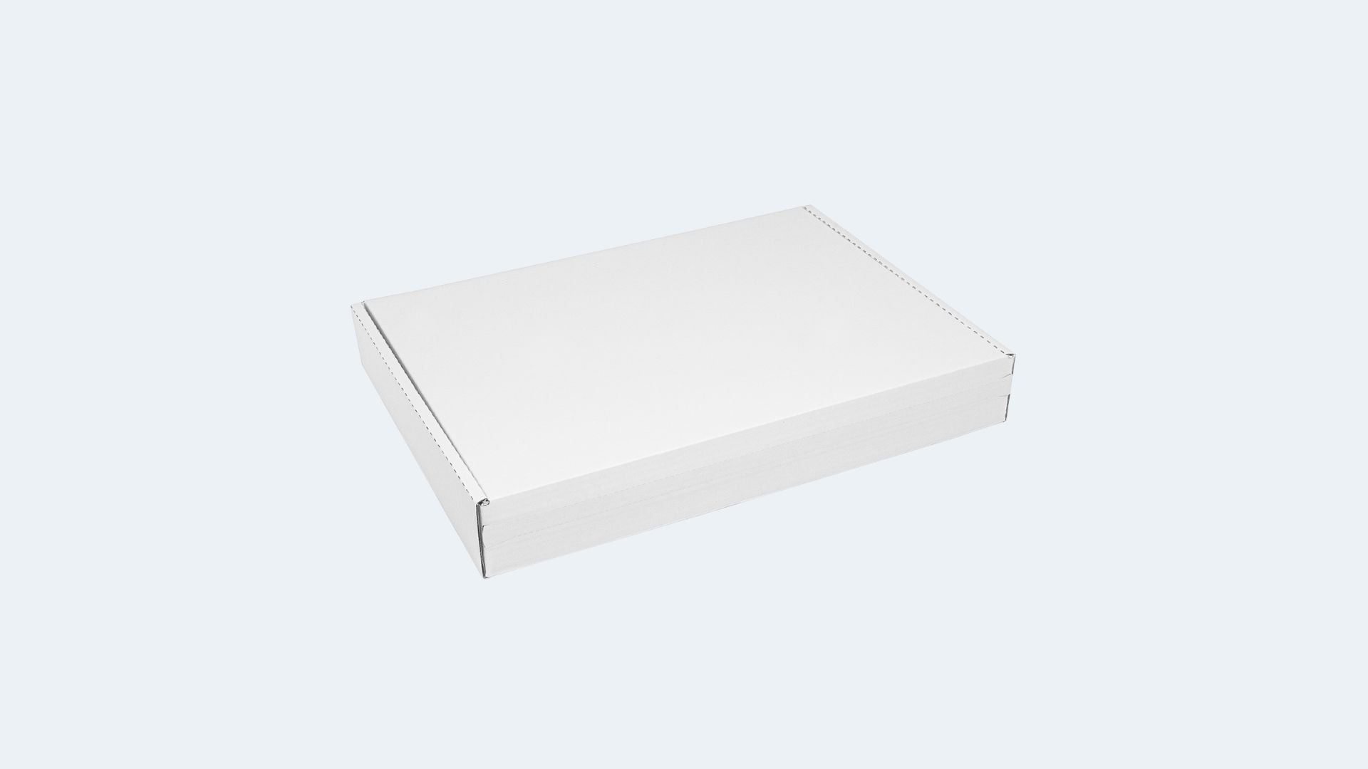 Versandschachtel<br>DIN A4 flach (315 × 230 × 45 mm) Versandschachtel<br>DIN A4 flach (315 × 230 × 45 mm)